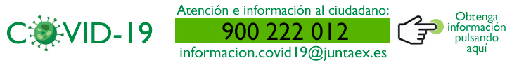 Informacion Covid 19